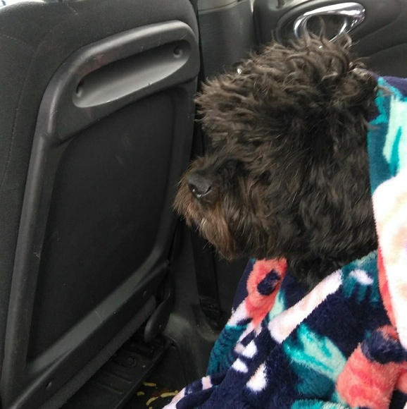 Meet your Posher, Jesus is love....❤ - Picture 3 of 3